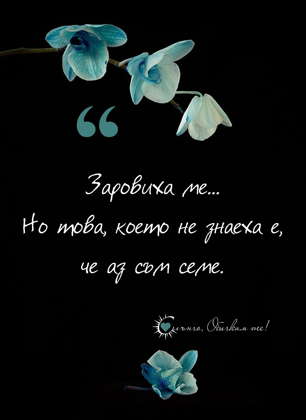 Заровиха ме, но това, което не знаеха е, че аз съм семе - любов, раздяла, разбито сърце, самота, счупено сърце, обич, липсваш ми, обичам се, цветя, семе, омраза, врагове, отмъщение, карма, умни мисли, мъдри мисли, за живота, всичко се връща, отмъстителни зодии, съдба