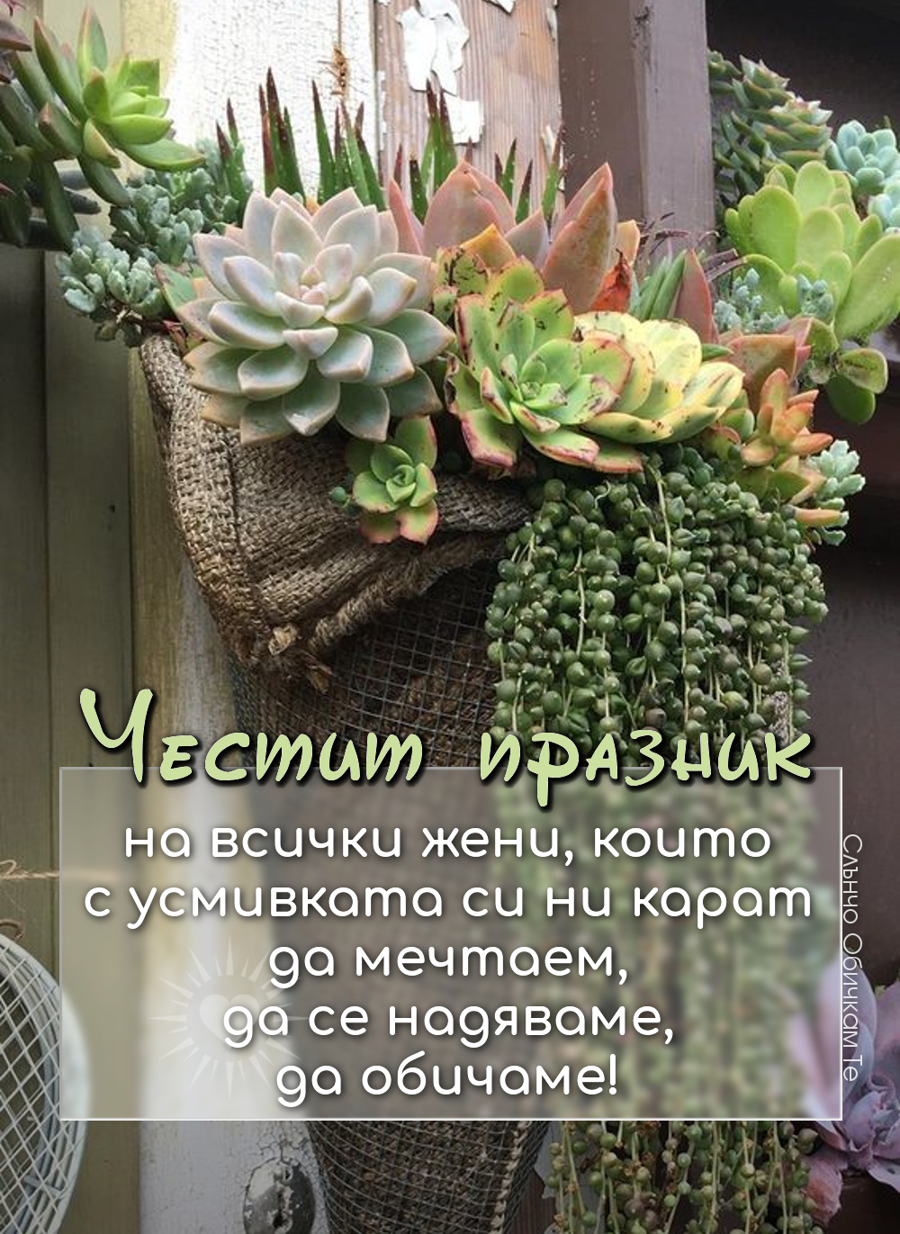 честит 8 март жени, сукуленти, кактус - Честит празник на всички усмихнати жени - 8 март, картички за 8 март, пожелания за 8 март, честит 8 март