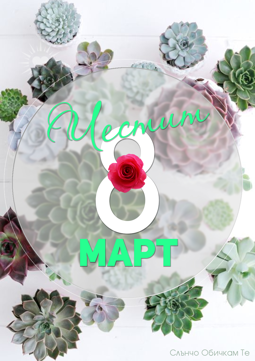 Честит 8 март сукуленти кактус - картички за любители на сукуленти