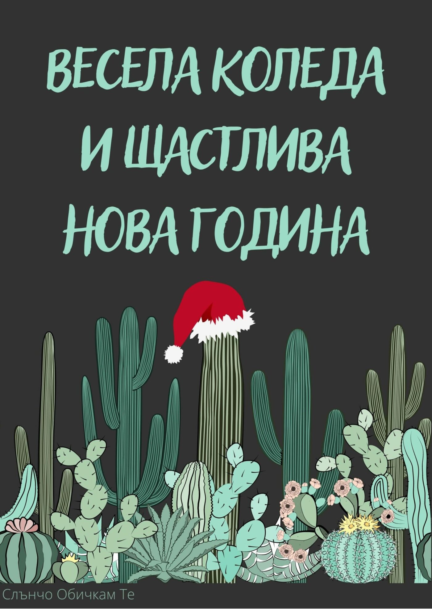 Весела Коледа с кактуси - картички за Коледа, пожелания за Нова година, за любителите на кактуси и сукуленти, слънчо обичкам те, коледни картички