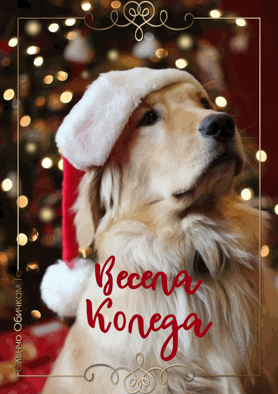 Весела Коледа с куче и анимирана елха - Коледни картички с куче, щастлива Коледа