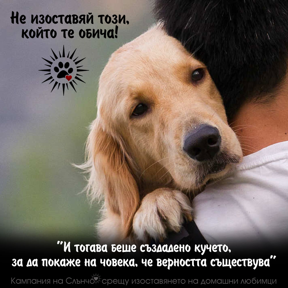 Не изоставяй този, който те обича - Кампания на Слънчо срещу изоставянето на домашни любимци. Кучето е най-добрият приятел на човека, цитати за кучето, защита правата на животните, прегръдка на куче, любов към животните