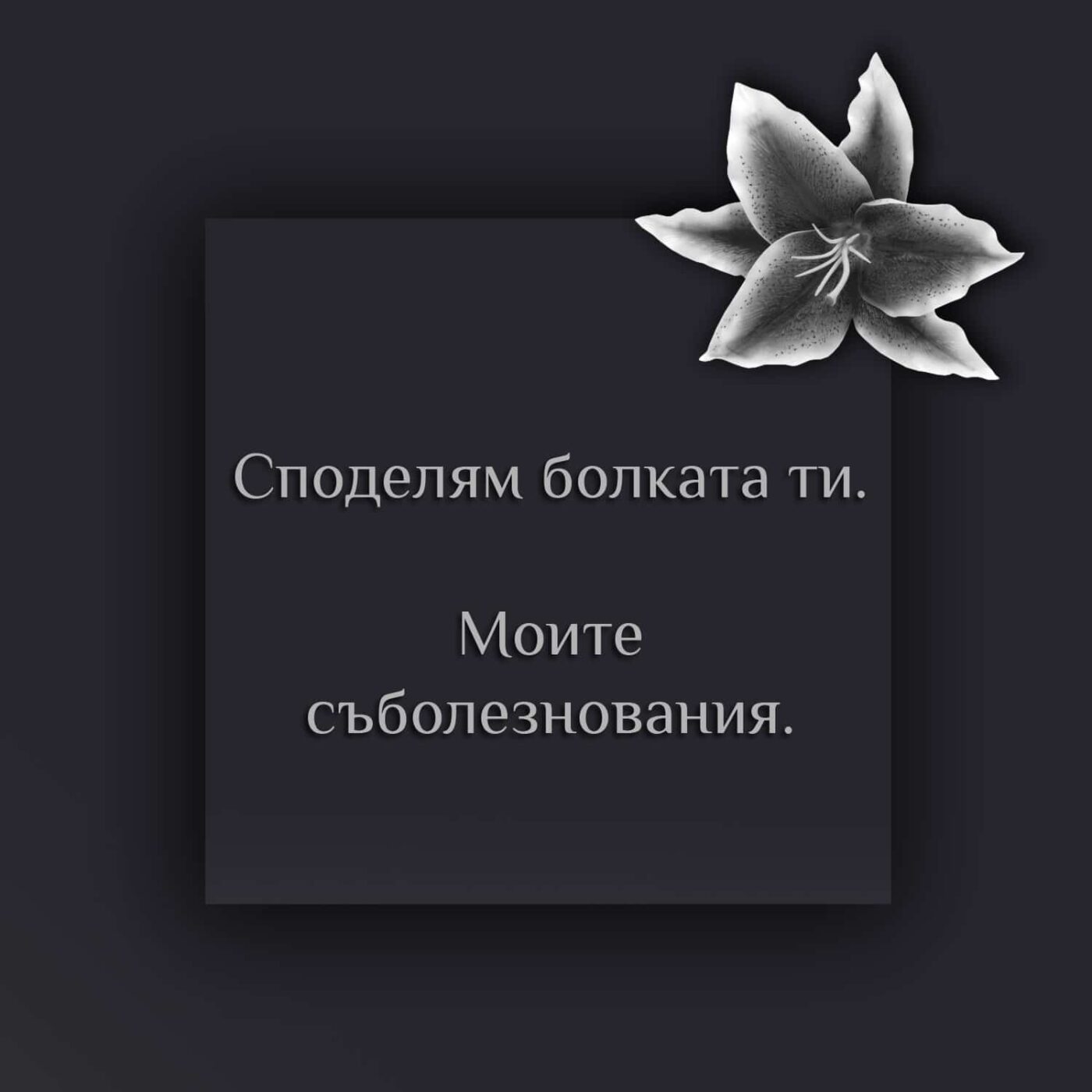 Споделям болката ти. Моите съболезнования - Съболезнования за починал роднина или близък, почивай в мир, бог да го прости, бог да я прости, в памет, мир на праха му, вечен помен, в памет